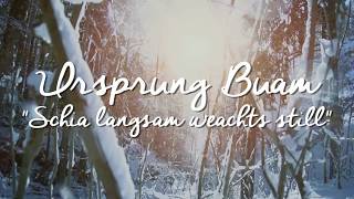 Ursprung Buam Schia langsam weachts still [upl. by Aborn]