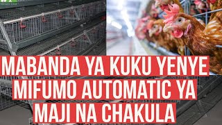 CAGES ZA KUFUGIA KUKU ZENYE KILA KITU AUTOMATIC  MAONESHO YA NANENANE SIKU YA NNE [upl. by Ennazzus]