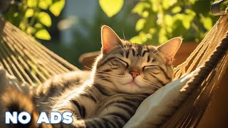 The Smart Cat song  Cat Song Meow Meow  Nursery Rhymes  kids songs [upl. by Harahs725]