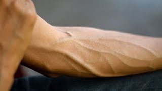 hand gripper exercises for big forearm veins [upl. by Frodeen425]