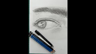 LEARN TO DRAW SketchBook Series 2G  Basics For Realistic Portraiture Drawing Final [upl. by Artinad375]