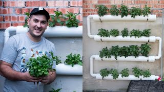 How To Make inexpensive Hydroponic System and start Hydroponics Garden At home 2021 [upl. by Kcinemod]