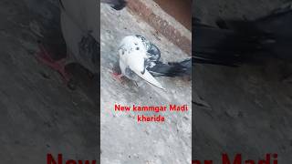 Apne kamagra🎉 nar ka Joda lagane 🎉ke liye Maine 💫ek nai madikammgar kharida🎉🕊️🕊️ [upl. by Anwat]