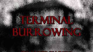 Terminal burrowing [upl. by Alag]