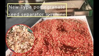 New Type Pomegranate Seed Separator Machine [upl. by Hebel]