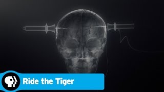 RIDE THE TIGER  The Benefits of Electroconvulsive Therapy  PBS [upl. by Macmillan]