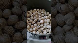 Kerang Bakar 🔥🌶️ guna air fryer [upl. by Lorimer]