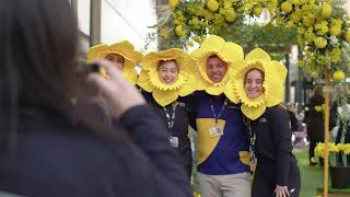 Cancer Council SA Daffodil Day 2023 [upl. by Adlev]