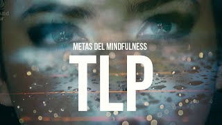 METAS DEL MINDFULNESSTLPBORDERLINE Terapia Conductual Dialéctica [upl. by Niatsirhc492]