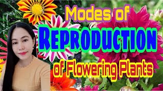 Modes of Reproduction of Flowering Plants FULL VERSION [upl. by Kare]