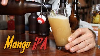 Idiots Guide to Making Incredible Beer at Home [upl. by Shreve]