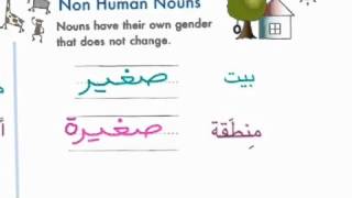 Al Kitaab Lesson 1 Part 1 Masculine and Feminine Agreement amp Nisba Adjectives [upl. by Lamdin755]