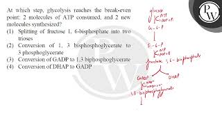 At which step glycolysis reaches the breakeven point 2 molecules of ATP consumed and 2 new m [upl. by Warrin]