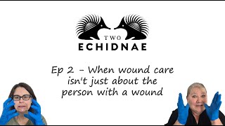 Ep2  When wound care isnt just about the person with a wound [upl. by Sprung]