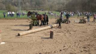 Holzrücken Wettbewerb Berching 2017 [upl. by Dranyer]