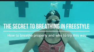 The secret to breathing in freestyle  Breathing techniques by Olympian Laura Strugnell [upl. by Whit]