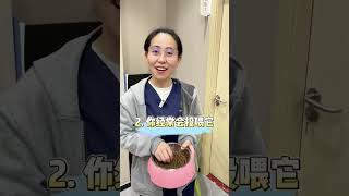 流浪猫是怎么给自己找主人的 新手养猫指南 新手养猫 养猫好物 宠物知识 猫咪 猫 宠物 兽医 [upl. by Honey]