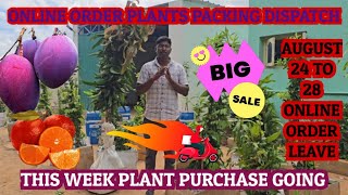 ONLINE ORDER PLANTS PACKING DISPATCH AUGUST 222024 BEST PLNTS ONLY SALES [upl. by Branscum]