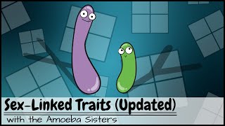 Punnett Squares and SexLinked Traits UPDATED [upl. by Auhel]