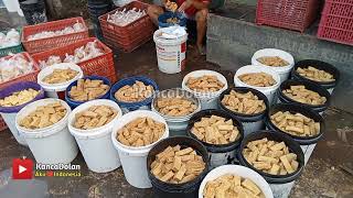 Pabrik Tahu Goreng Traditional di Candimulyo Magelang [upl. by Sclater543]