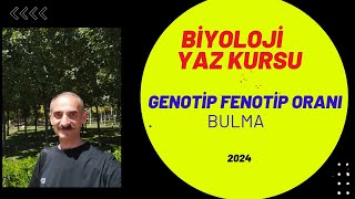 genotip ve fenotip oranı bulma [upl. by Chuch]