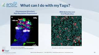 myTags in situ Hybridization Probes  Applications and Services [upl. by Elylrac500]