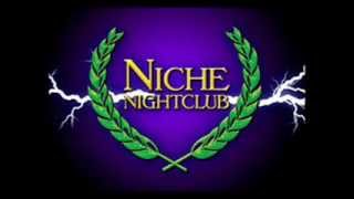 NICHE  some old school mixes 2012 [upl. by Ahnavas]