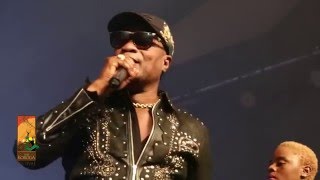 Koffi Olomide performs Effrakata Live at The Koroga Festival [upl. by Arratal]