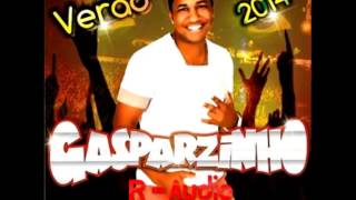 GASPARZINHO  LEPO LEPO PROMOCIONAL DE VERÃO 2014 MUSICA NOVA [upl. by Eevets]