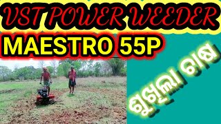 VST power weeder maestro 55P power weeder ଆସ ଶୁଖିଲା ହଳ କରିବା [upl. by Eamaj]