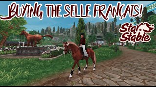 Buying the Selle Français  Star Stable Online [upl. by Alphonsa]