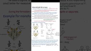 Basics of genetics  monohybrid cross dihybrid cross incomplete dominance [upl. by Leandre]