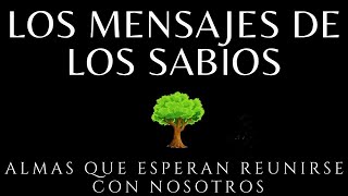 Los mensajes de los sabios Brian weiss Audiolibro completo en español voz humana [upl. by Sutphin707]