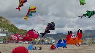 Barmouth Kite Festival 2024 [upl. by Eidderf]