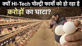 Automated Broiler Layer Poultry Farm Business plan Farm Karnal india मुर्गी पालन लोन जानकारी [upl. by Ponce696]