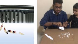 Static Electricity Experiment Comb amp Paper [upl. by Connel916]