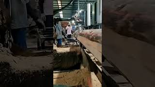 Fast Sawmill wood sawmill woodworking [upl. by Lim]