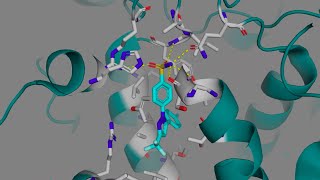 Celecoxib Celebrex and other COX2 Selective Inhibitors [upl. by Ydnew9]