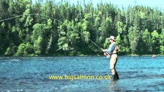 Salmon fishing in Newfoundland [upl. by Ledoux]