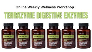 TerraZyme Digestive Enzymes online workshop [upl. by Brownley]