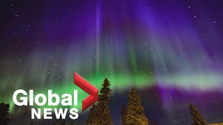 Northern Lights create spectacular show in Alberta sky [upl. by Yelsnia]