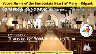 Votive Shrine Daily Mass  Live Stream  October 31 2024 Thursday 630 am  Tamil Mass [upl. by Feilak862]