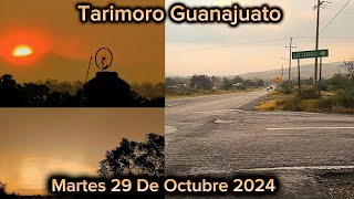 Tarimoro Guanajuato Martes 29 De Octubre 2024 [upl. by Hartzell]