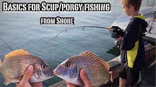 How to Catch Scup  Porgy from Shore Made Easy [upl. by Lrig]