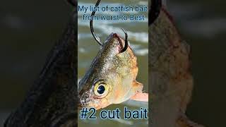 Catch more catfish in 2024 catfish reels bass god [upl. by Enitsirhk]