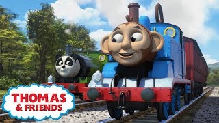 Thomas amp Friends  Thomas Animal Friends  Thomas amp Friends Storytime  Kids Podcast and Stories [upl. by Lewap158]