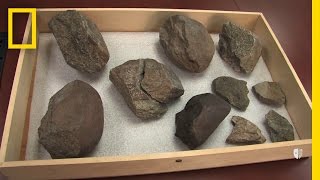 Oldest Known Stone Tools Discovered 33 Million Years Old  National Geographic [upl. by Ssecnirp628]