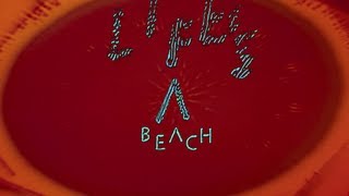 Django Django  Lifes a Beach Official Video [upl. by Premer]