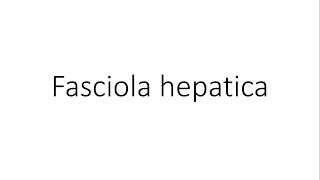 Fasciola hepatica  Parasitology [upl. by Lydon17]