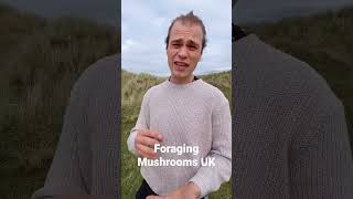 Foraging Mushrooms UK Shorts [upl. by Sardella]